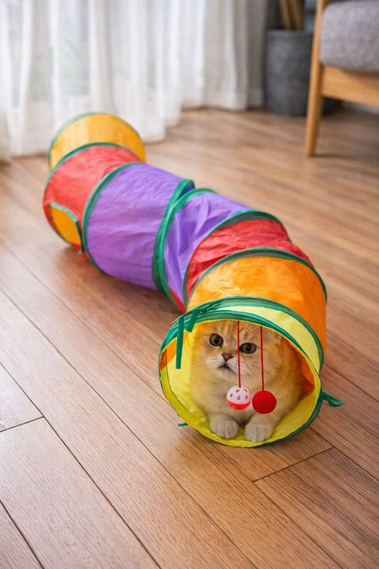 Kıvrımlı Kedi Oyun Tüneli